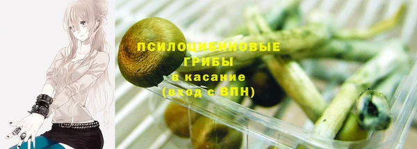 тгк Алексин