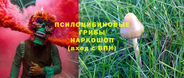 apvp Алзамай