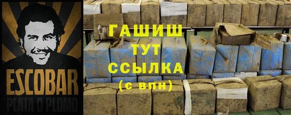 apvp Алзамай