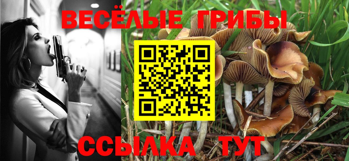 Псилоцибиновые грибы ЛСД  Вход с VPN  Тосно 